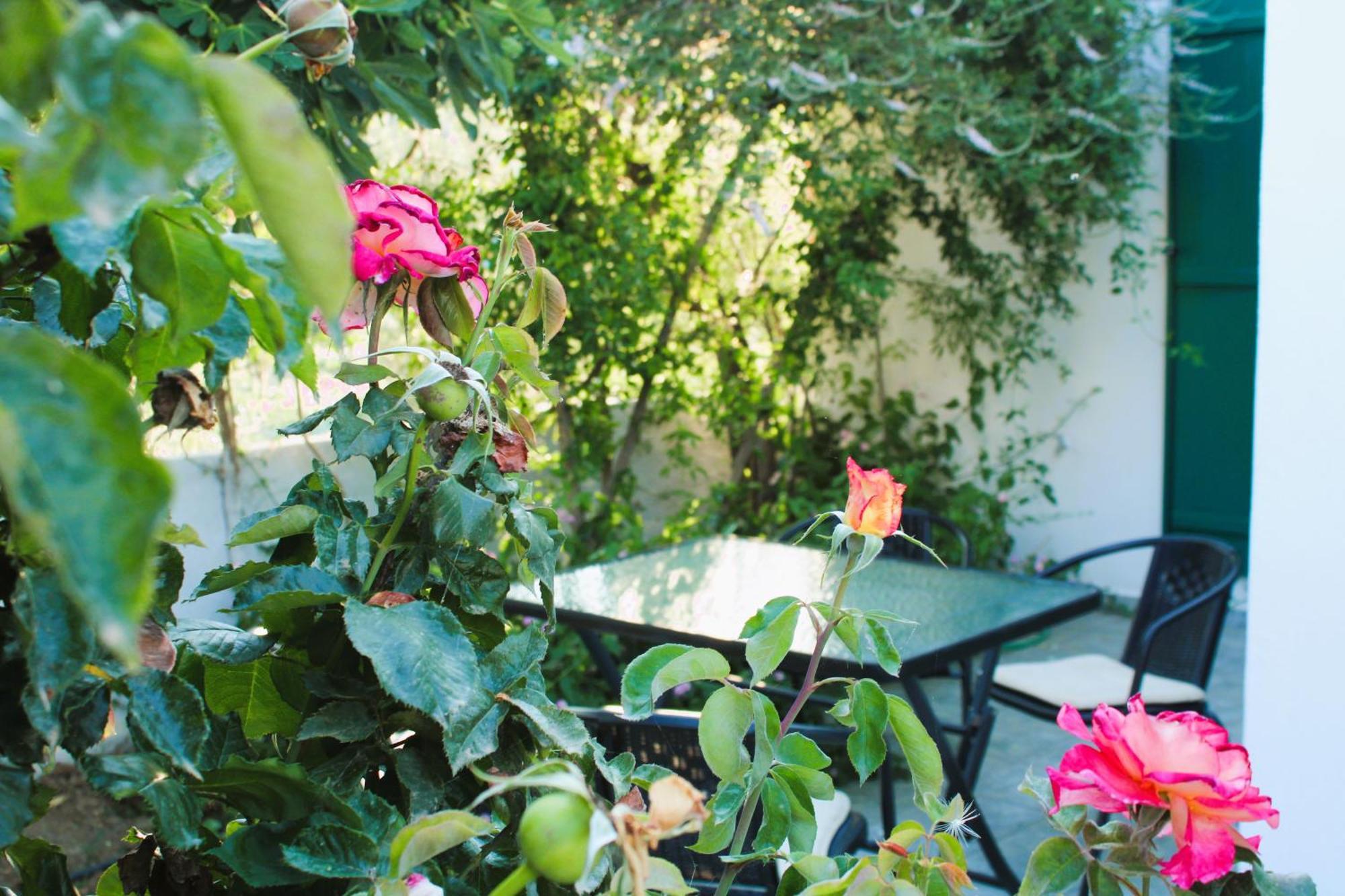 Astyvillas Livadi  Extérieur photo